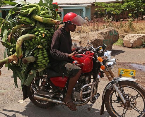 Een motorrijder vervoert groene kookbananen in Mto Wa Mbu- u ziet de lokale cultuur en het dorpsleven tijdens uw 10 Dagen Tanzania Budget Safari