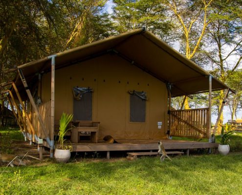 U verblijft in comfortabele volledig ingerichte en-suite tenten tijdens uw 5 dagen Safari Tanzania. Deze foto is van de Africa Safari Lake Manyara Lodge.