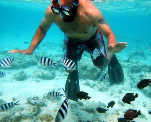 Ontdek de fantastische onderwaterwereld met onze Zanzibar Holidays Extension pakketten