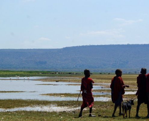 Maasai kinderen begeleiden een kleine geit in het Lake Natron