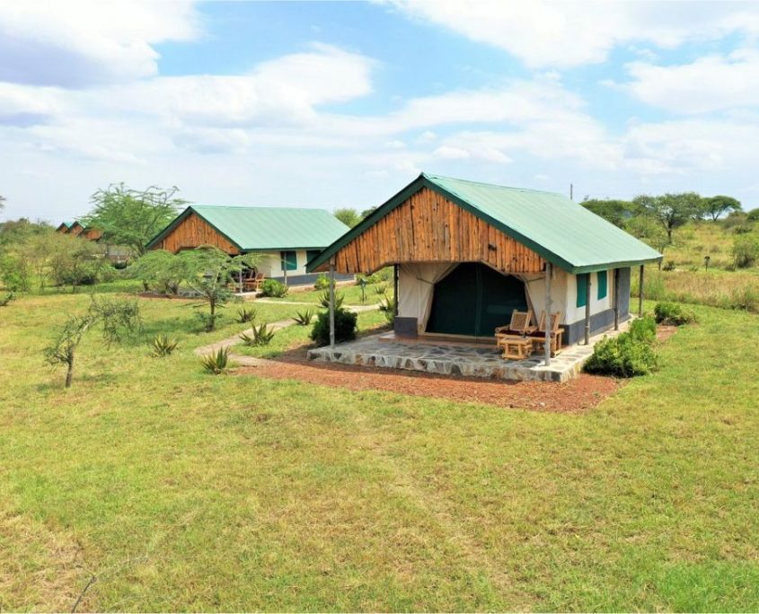 Een semi-permanente tent bij Serengeti Ikoma Africa Safari Lodge