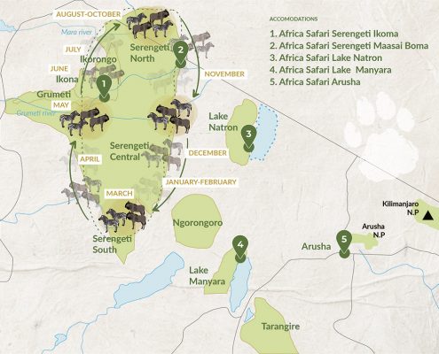 Een overzicht van de noordelijke safariparken in Tanzania met Africa Safari accommodaties