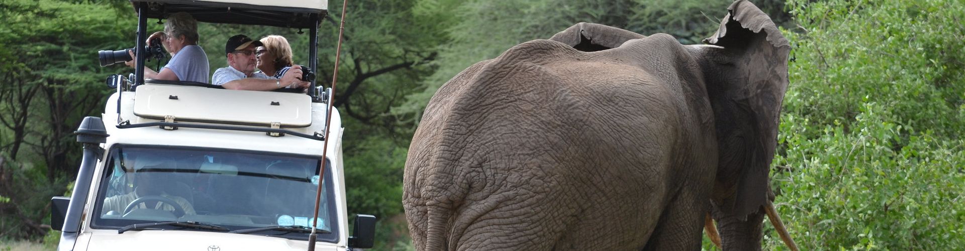 Een olifant passeert een safaritruck in Tarangire Safari Park